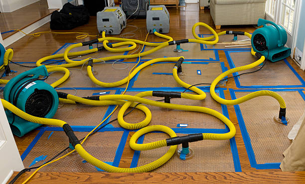 Professional Water Extraction technician working in Lyman, WY